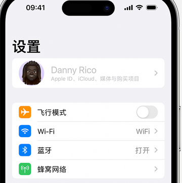 道外appleID维修服务iPhone设置中Apple ID显示为灰色无法使用 