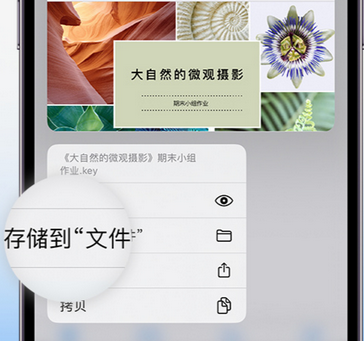 道外apple维修中心分享iPhone文件应用中存储和找到下载文件