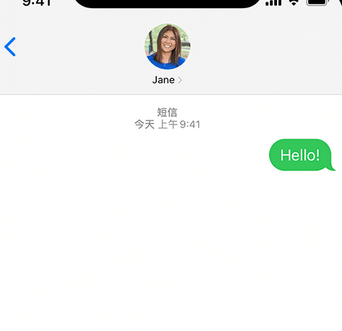 道外apple维修iPhone上无法正常发送iMessage信息