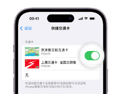 道外apple维修点分享iPhone上更换Apple Pay快捷交通卡手绘卡面 