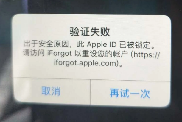 道外iPhone维修分享iPhone上正常登录或使用AppleID怎么办 