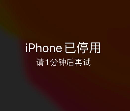 道外苹果手机维修分享:iPhone 显示“不可用”或“已停用”怎么办？还能保留数据吗？ 