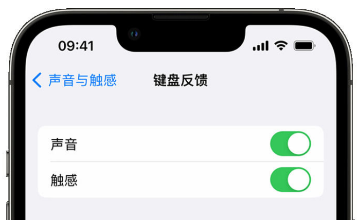 道外苹果手机维修分享iPhone 14触感键盘使用方法 