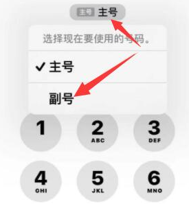 道外苹果14维修店分享iPhone 14 Pro Max使用副卡打电话的方法 