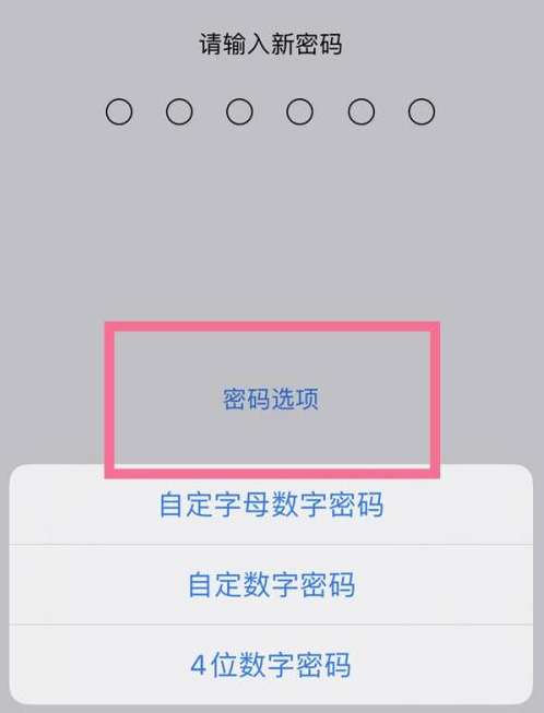 道外苹果14维修分享iPhone 14plus设置密码的方法 