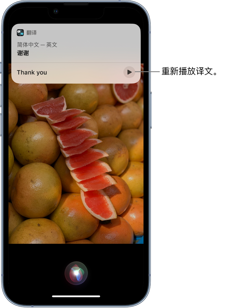 道外苹果14维修分享 iPhone 14 机型中使用 Siri：了解 Siri 能帮你做什么 