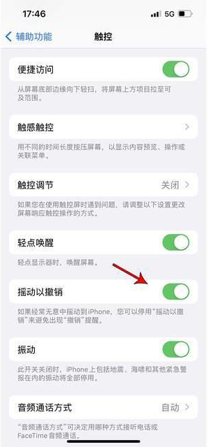 道外苹果手机维修分享iPhone手机如何设置摇一摇删除文字 